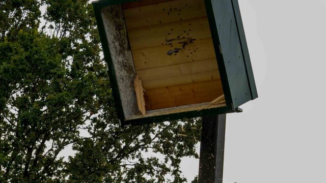 Kaiserschießen und Kommersabend zum 525. Jubiläum der St. Sebastianus Schützenbruderschaft Werl. Foto: Thomas Nitsche -Honorarpflichtig: copyright by Thomas Nitsche, Wulfs Appelhof 13, 59457 Werl, 0171/3100766 - Sparkasse Werl. IBAN: DE11 4145 0075 0002 9282 32, BIC: WELADED1SOS